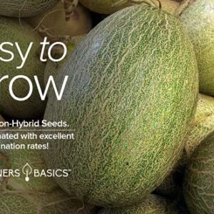 Honeydew Seeds for Planting - Green Flesh Melon Heirloom, Non-GMO Fruit Seed Variety- 2 Grams Seeds Great for Summer Honey Dew Melon Gardens by Gardeners Basics