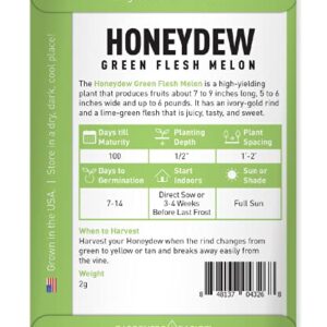 Honeydew Seeds for Planting - Green Flesh Melon Heirloom, Non-GMO Fruit Seed Variety- 2 Grams Seeds Great for Summer Honey Dew Melon Gardens by Gardeners Basics