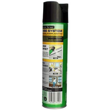 Raid House and Garden Aerosol, 11 OZ (Pack of 3)