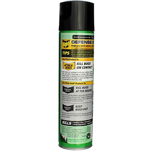 Raid House and Garden Aerosol, 11 OZ (Pack of 3)