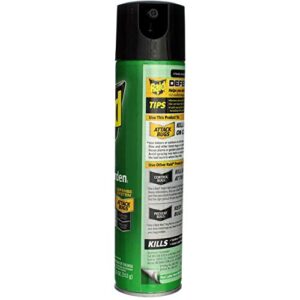 Raid House and Garden Aerosol, 11 OZ (Pack of 3)