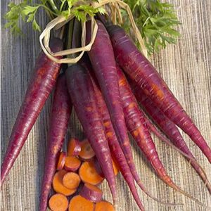 purple carrot garden seeds – 1 g ~600 seeds – heirloom, non-gmo, vegetable garden & microgreens seed