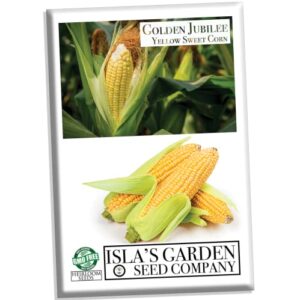 golden jubilee yellow sweet corn seeds for planting, 30+ seeds per packet, (isla’s garden seeds), non gmo & heirloom seeds, botanical name: corn zea mays, great home garden gift