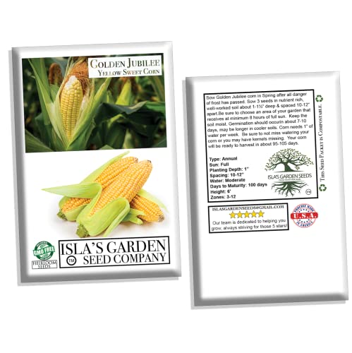 Golden Jubilee Yellow Sweet Corn Seeds for Planting, 30+ Seeds Per Packet, (Isla's Garden Seeds), Non GMO & Heirloom Seeds, Botanical Name: Corn Zea mays, Great Home Garden Gift