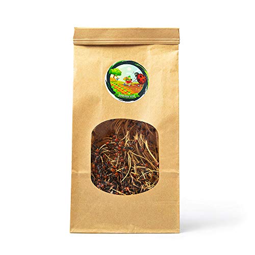 Gardner Time Live Ladybugs - Good Bugs for Garden - Ladybugs - Pre-Fed Hippodamia Convergens - Live Ladybugs - for Aphid Control and Other Insects - Guaranteed Live Delivery (1500)