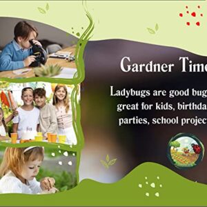 Gardner Time Live Ladybugs - Good Bugs for Garden - Ladybugs - Pre-Fed Hippodamia Convergens - Live Ladybugs - for Aphid Control and Other Insects - Guaranteed Live Delivery (1500)