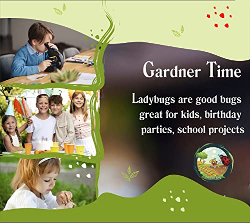 Gardner Time Live Ladybugs - Good Bugs for Garden - Ladybugs - Pre-Fed Hippodamia Convergens - Live Ladybugs - for Aphid Control and Other Insects - Guaranteed Live Delivery (1500)