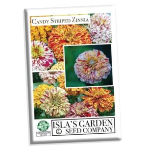 “candy stripe mix” zinnia seeds for planting, 50+ flower seeds per packet, (isla’s garden seeds), non gmo & heirloom seeds, botanical name: zinnia elegans, great home garden gift