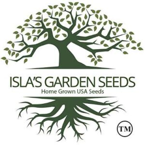 "Candy Stripe Mix" Zinnia Seeds for Planting, 50+ Flower Seeds Per Packet, (Isla's Garden Seeds), Non GMO & Heirloom Seeds, Botanical Name: Zinnia elegans, Great Home Garden Gift