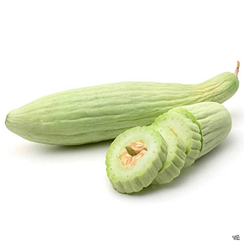 Armenian Yard Long Cucumber Seeds - Cucumis Sativus - 2 Grams - Approx 50 Gardening Seeds - Vegetable Garden Seed