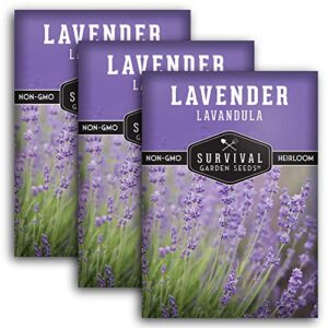 lavender seed for planting – 3 packets with instructions to plant and grow edible & medicinal lavandula herbs in your home vegetable garden – non-gmo heirloom variety – survival garden seeds
