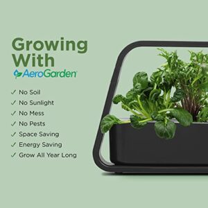 AeroGarden Sprout with Gourmet Herbs Seed Pod Kit - Hydroponic Indoor Garden, White & Grow Anything Seed Pod Kit for AeroGarden Hydroponic Indoor Garden, 9-Pod