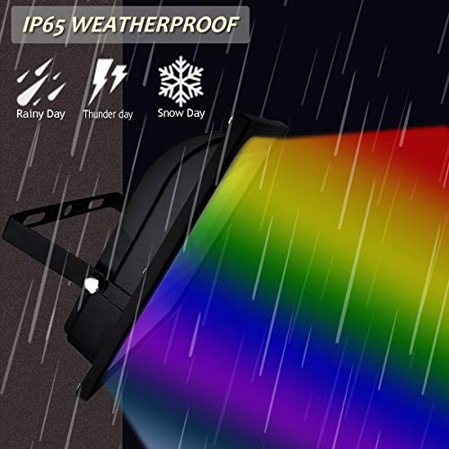 GLW 30W RGB LED Flood Light Remote Control Outdoor Landscape Lighting IP65 Waterproof 16 Colors Changing 4 Mode Security Light for Garden,Lawn,Yard (2 Pack)