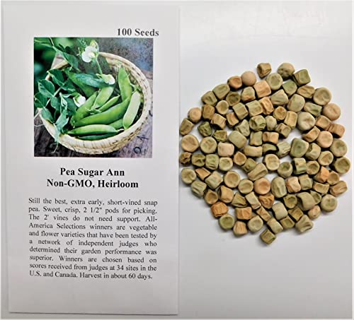 David's Garden Seeds Pea Snap Sugar Ann FBA-5594 (Green) 100 Non-GMO, Heirloom Seeds