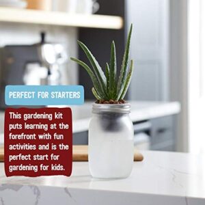Back to the Roots Self Watering Grow Kit - Glass Hydroponic Planters for Succulents and Cacti - Hassle-Free Self-Watering System