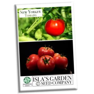 new yorker tomato seeds for planting, 100+ heirloom seeds per packet, (isla’s garden seeds), non gmo seeds, botanical name: solanum lycopersicum, great home garden gift