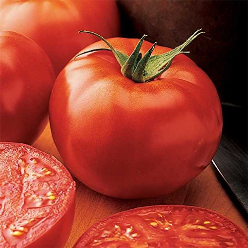 New Yorker Tomato Seeds for Planting, 100+ Heirloom Seeds Per Packet, (Isla's Garden Seeds), Non GMO Seeds, Botanical Name: Solanum lycopersicum, Great Home Garden Gift