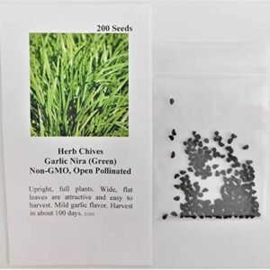David's Garden Seeds Herb Chives Garlic Nira FBA-2343 (Green) 200 Non-GMO, Heirloom Seeds