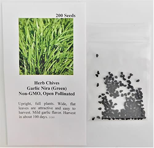 David's Garden Seeds Herb Chives Garlic Nira FBA-2343 (Green) 200 Non-GMO, Heirloom Seeds