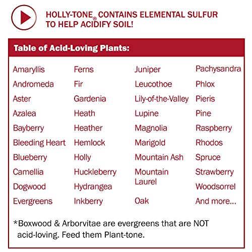 Espoma Organic Holly-tone 4-3-4 Natural & Organic Evergreen & Azalea Plant Food; 4 lb. Bag; The Original & Best Fertilizer for all Acid Loving Plants including Rhododendrons & Hydrangeas.