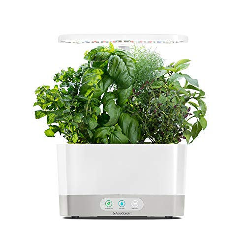 AeroGarden Harvest with Gourmet Herb Seed Pod Kit - Hydroponic Indoor Garden, White & Grow Anything Seed Pod Kit for Hydroponic Indoor Garden, 9-Pod