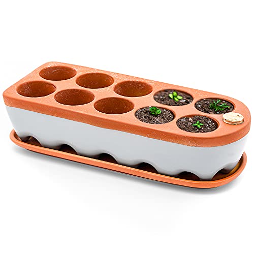 Seed Starter Tray - Self Watering Seedling Trays Seed Starter kit & seed starter pots. Grow Your flowers, veggies & Herbs Indoor. Eco Friendly seed starter pots & herb growing kit indoor seedling tray