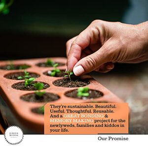 Seed Starter Tray - Self Watering Seedling Trays Seed Starter kit & seed starter pots. Grow Your flowers, veggies & Herbs Indoor. Eco Friendly seed starter pots & herb growing kit indoor seedling tray