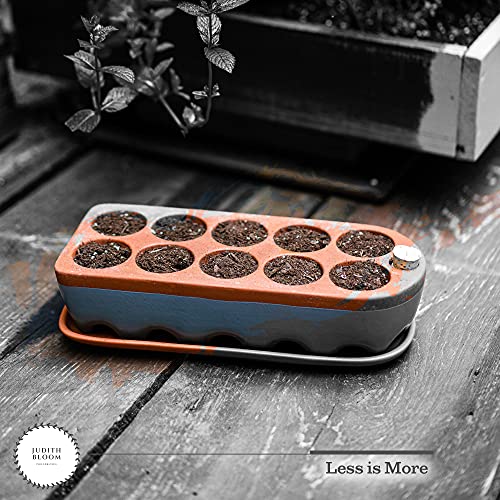 Seed Starter Tray - Self Watering Seedling Trays Seed Starter kit & seed starter pots. Grow Your flowers, veggies & Herbs Indoor. Eco Friendly seed starter pots & herb growing kit indoor seedling tray