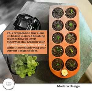 Seed Starter Tray - Self Watering Seedling Trays Seed Starter kit & seed starter pots. Grow Your flowers, veggies & Herbs Indoor. Eco Friendly seed starter pots & herb growing kit indoor seedling tray