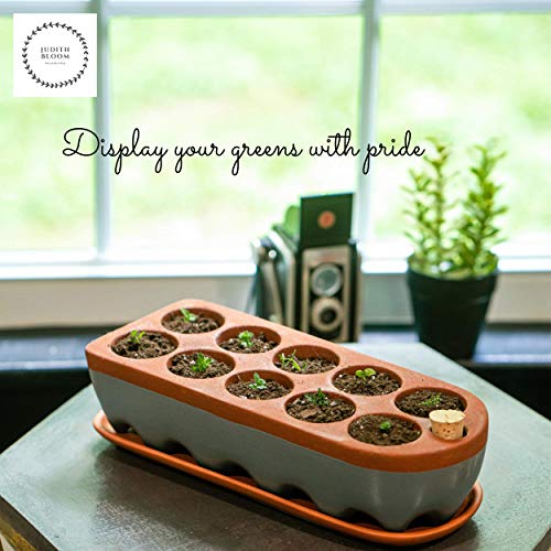 Seed Starter Tray - Self Watering Seedling Trays Seed Starter kit & seed starter pots. Grow Your flowers, veggies & Herbs Indoor. Eco Friendly seed starter pots & herb growing kit indoor seedling tray