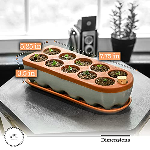 Seed Starter Tray - Self Watering Seedling Trays Seed Starter kit & seed starter pots. Grow Your flowers, veggies & Herbs Indoor. Eco Friendly seed starter pots & herb growing kit indoor seedling tray