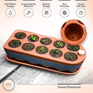 Seed Starter Tray - Self Watering Seedling Trays Seed Starter kit & seed starter pots. Grow Your flowers, veggies & Herbs Indoor. Eco Friendly seed starter pots & herb growing kit indoor seedling tray