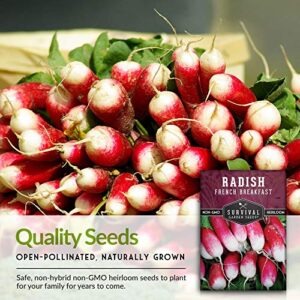 Survival Garden Seeds - French Breakfast Radish Seed for Planting - Pack with Instructions to Plant and Grow Long Radishes to Eat in Your Home Vegetable Garden - Non-GMO Heirloom Variety