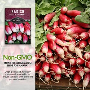 Survival Garden Seeds - French Breakfast Radish Seed for Planting - Pack with Instructions to Plant and Grow Long Radishes to Eat in Your Home Vegetable Garden - Non-GMO Heirloom Variety