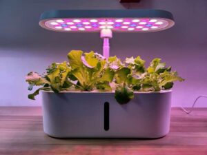 dear carbon hydroponics growing system 8 pots, indoor garden with led grow light, upgrated lens, plants germination kit, adjustable height to 22″