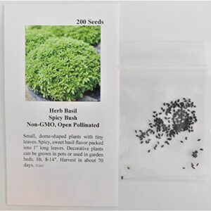 David's Garden Seeds Herb Basil Spicy Bush 5977 (Green) 200 Non-GMO, Heirloom Seeds