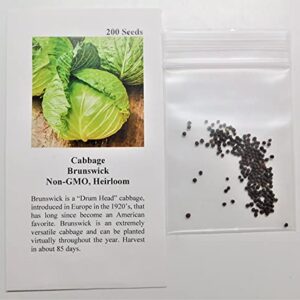 David's Garden Seeds Cabbage Brunswick FBA-5846 (Green) 50 Non-GMO, Heirloom Seeds