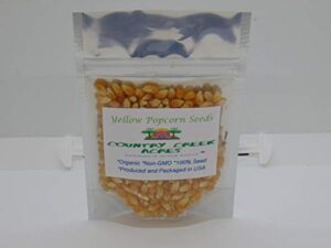 yellow popcorn seed for growing heirloom op open pollinated non-gmo garden seed 25 seeds by country creek acres