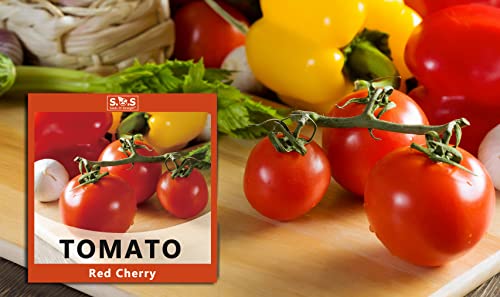 Tomatoes Gift Box Kit for Planting 1 Variety Pack 3g Red Cherry Tomato Seeds for Your Vegetable Garden (Tomato, Red Cherry)