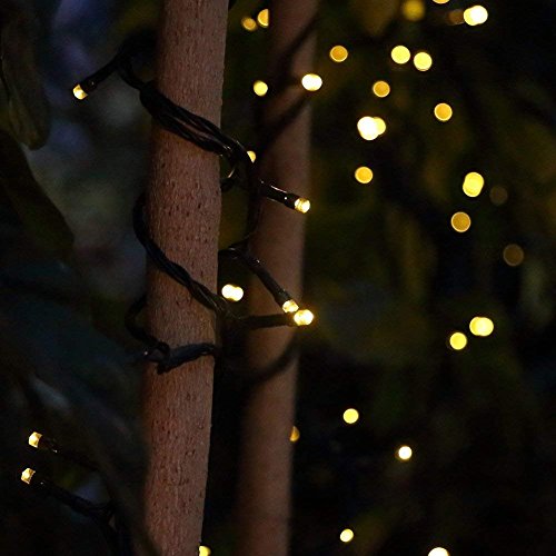 4 Pack- Battery Operated Outdoor Christmas Tree String Lights with 50 Warm White LEDs on 16.5ft/5m of Dark Green Cable,Ambiance Lighting for Bedroom Patio Garden Gate Yard Parties Wedding Decoration