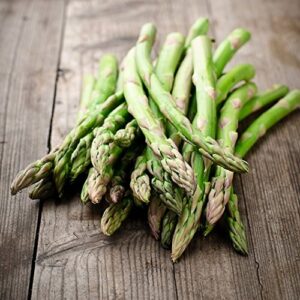 david’s garden seeds asparagus mary washington fba-00072 (green) 50 non-gmo, heirloom seeds