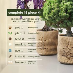 Bonsai Starter Kit - DIY Bonsai Growing Gift - Garden Hobbies for Adults, Women & Men : 4 Unique Tree Seeds, Soil, Pots, Pruning Shears, Plant Markers + Wood Gift Box