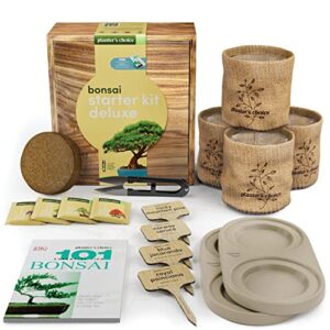 Bonsai Starter Kit - DIY Bonsai Growing Gift - Garden Hobbies for Adults, Women & Men : 4 Unique Tree Seeds, Soil, Pots, Pruning Shears, Plant Markers + Wood Gift Box