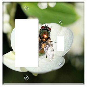 rocker/gfci toggle combination wall plate cover – fly insect bug nature garden macro pest wings