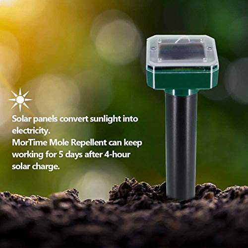 MorTime Solar Powered Mole Deterrent Spikes Outdoor Yard Gopher Vole Deterrent Ultrasonic Groundhog Stake for Lawn Garden (4 Pack)