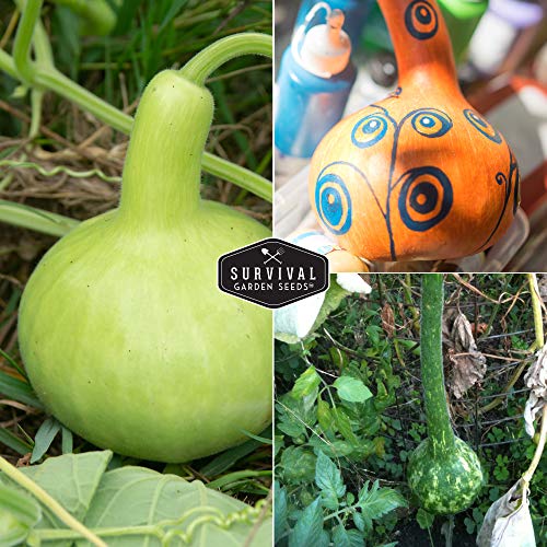 Survival Garden Seeds - Dipper Gourd Seed for Planting - Packet with Instructions to Plant and Grow Birdhouse Gourds in Your Home Vegetable Garden - Non-GMO Heirloom Variety