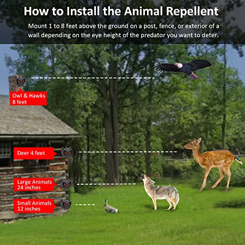 MAGIC CAT Solar Animal Repellent, Wild Animal Predator Red Eyes LED Blinking Lights, Waterproof Nocturnal Animal Repeller to Keep Skunk, Deer, Coyote, Raccoon Away from Garden Yard Farm Chicken Coop