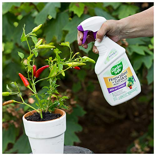 Garden Safe Brand Houseplant & Garden Insect Killer, Ready-to-Use, 24-Ounce, 4-Pack