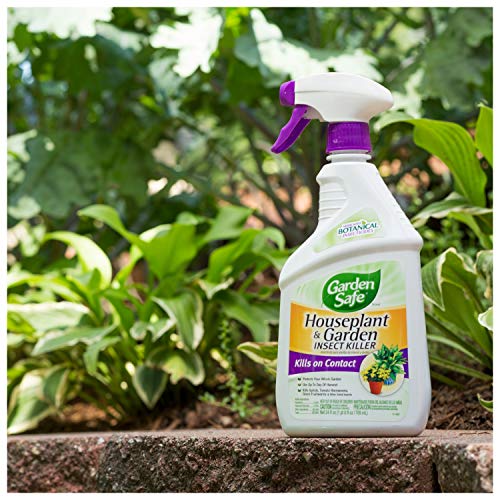 Garden Safe Brand Houseplant & Garden Insect Killer, Ready-to-Use, 24-Ounce, 4-Pack