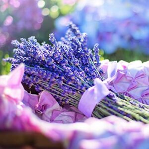 tke farms – english lavender seeds for planting 1/4 gram, 200 seeds, lavandula angustifolia